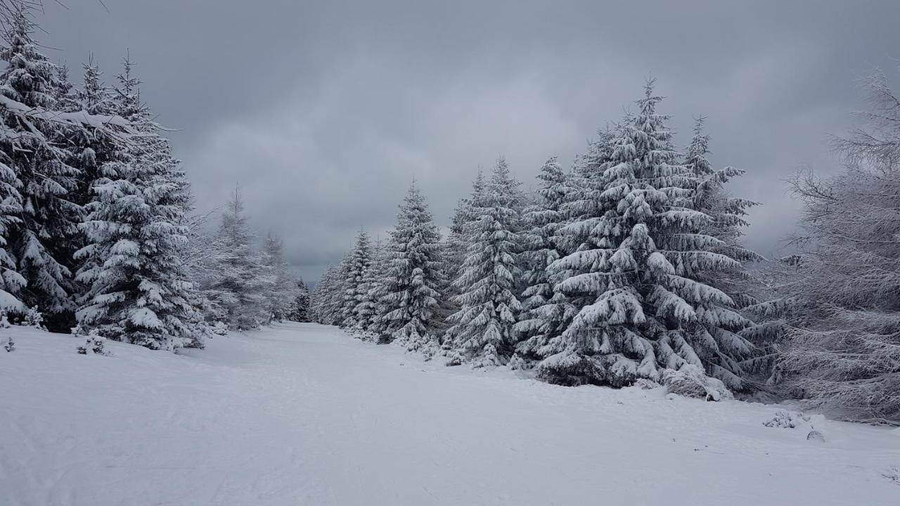 Dom Trzech Braci Villa Lądek-Zdrój Exteriör bild