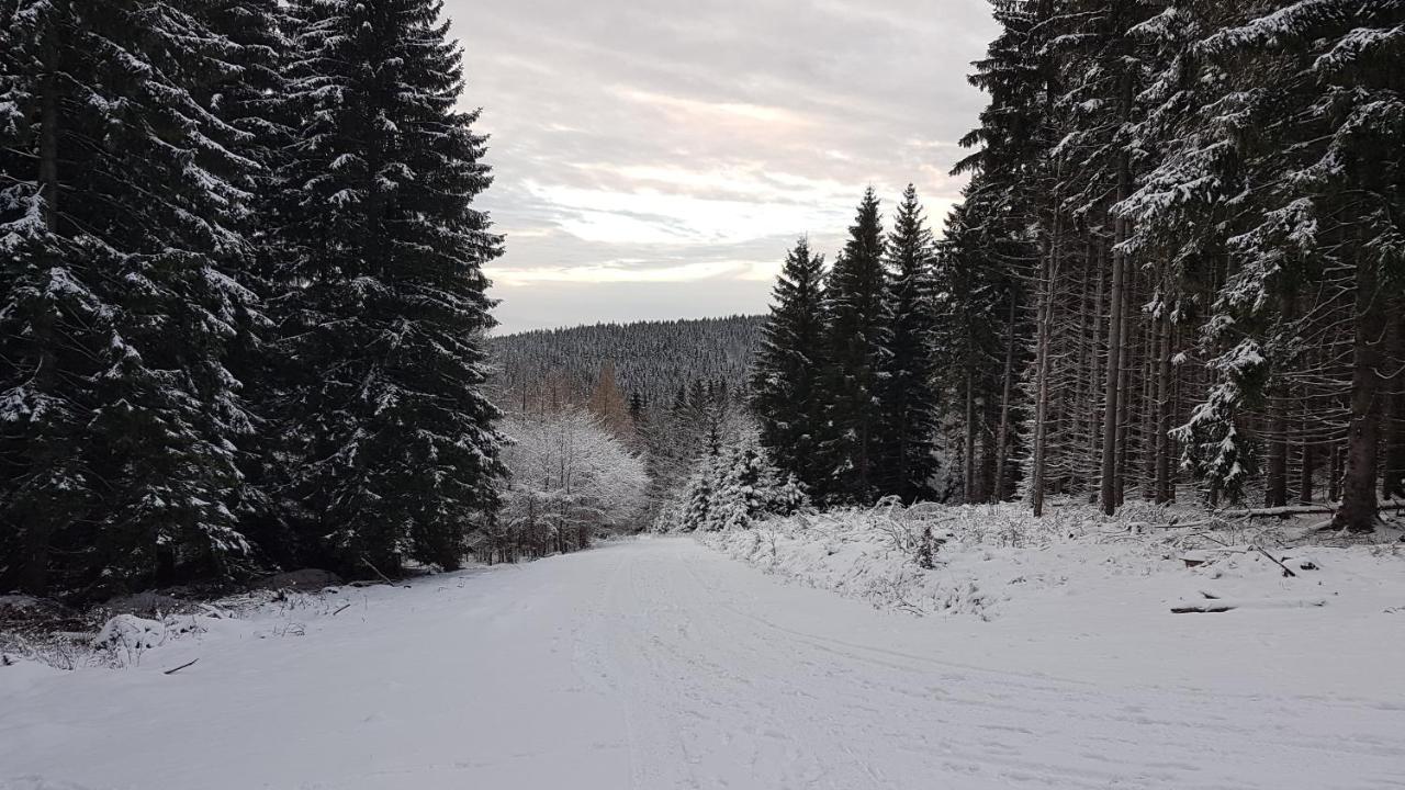 Dom Trzech Braci Villa Lądek-Zdrój Exteriör bild