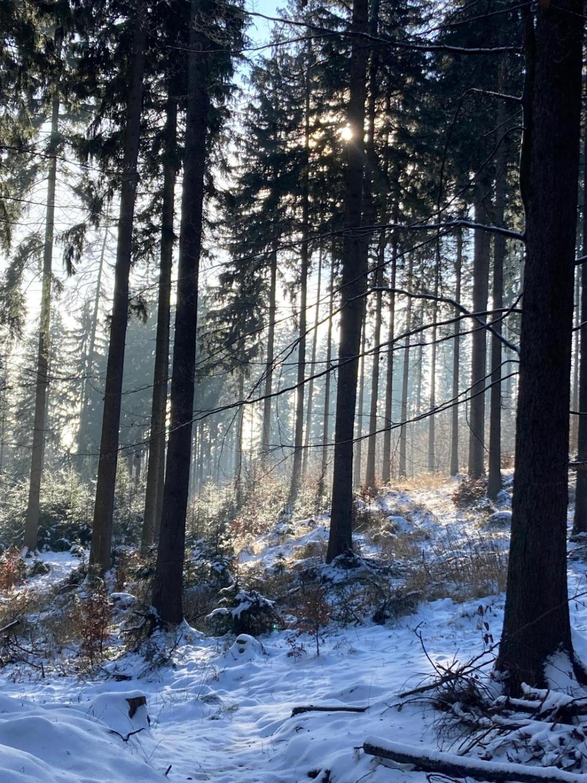 Dom Trzech Braci Villa Lądek-Zdrój Exteriör bild