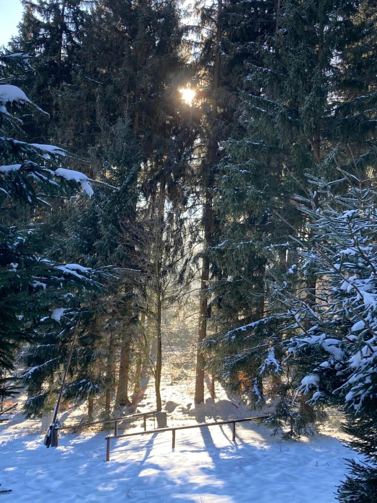 Dom Trzech Braci Villa Lądek-Zdrój Exteriör bild
