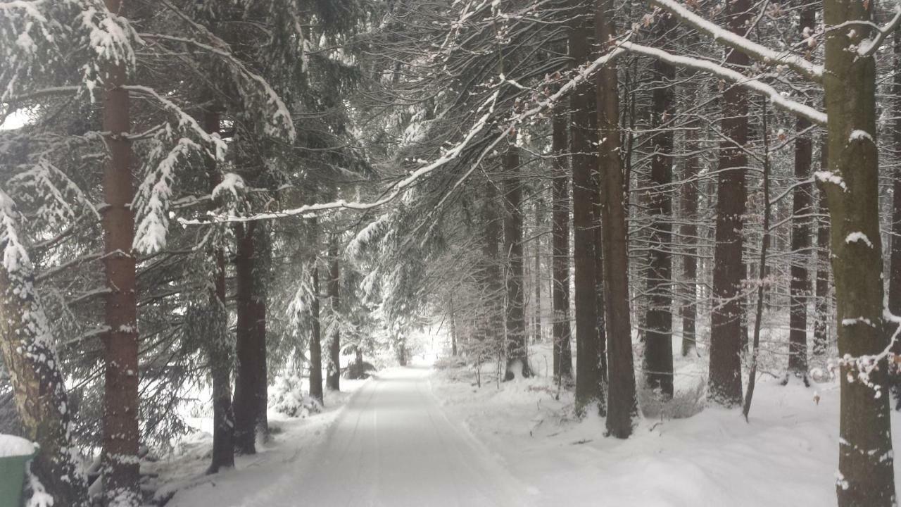 Dom Trzech Braci Villa Lądek-Zdrój Exteriör bild
