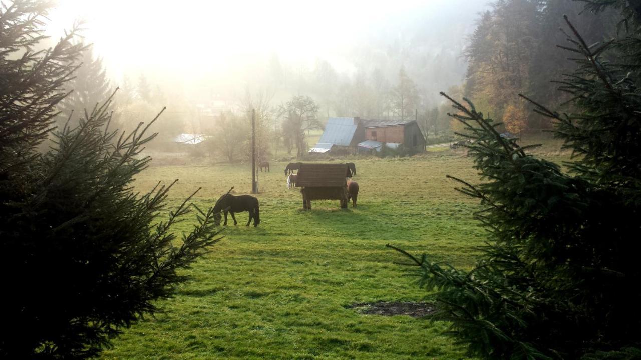 Dom Trzech Braci Villa Lądek-Zdrój Exteriör bild